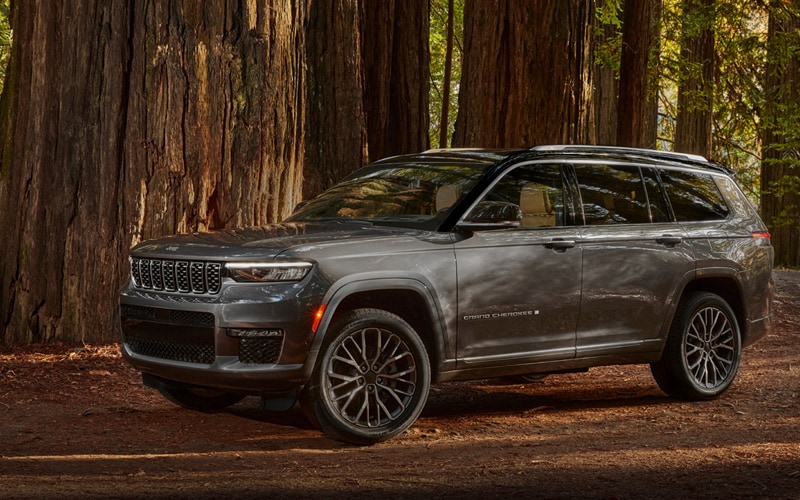 Jeep Grand Cherokee in forest with large trees in the background.